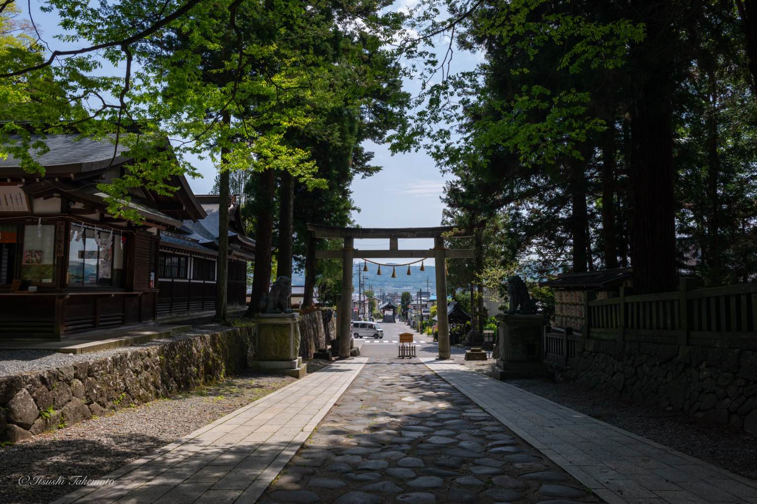 結びの杉 - 諏訪大社下社春宮
同行者が万治の大仏をみたいとのことで立ち寄りました。
カーナビを信じて移動したら裏山？みたいな場所に連れて行かれて、駐車場を探して右往左往しました。 - photo 1