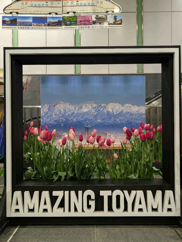 富山駅 - 長野から富山駅に着くまでに、立山連峰の雪景色がみられる💛

富山駅では改札を出る前に硝子で出来た美味しそうなお寿司ととなみチューリップフェア期間中はチューリップが飾られたAmazing … - photo 3