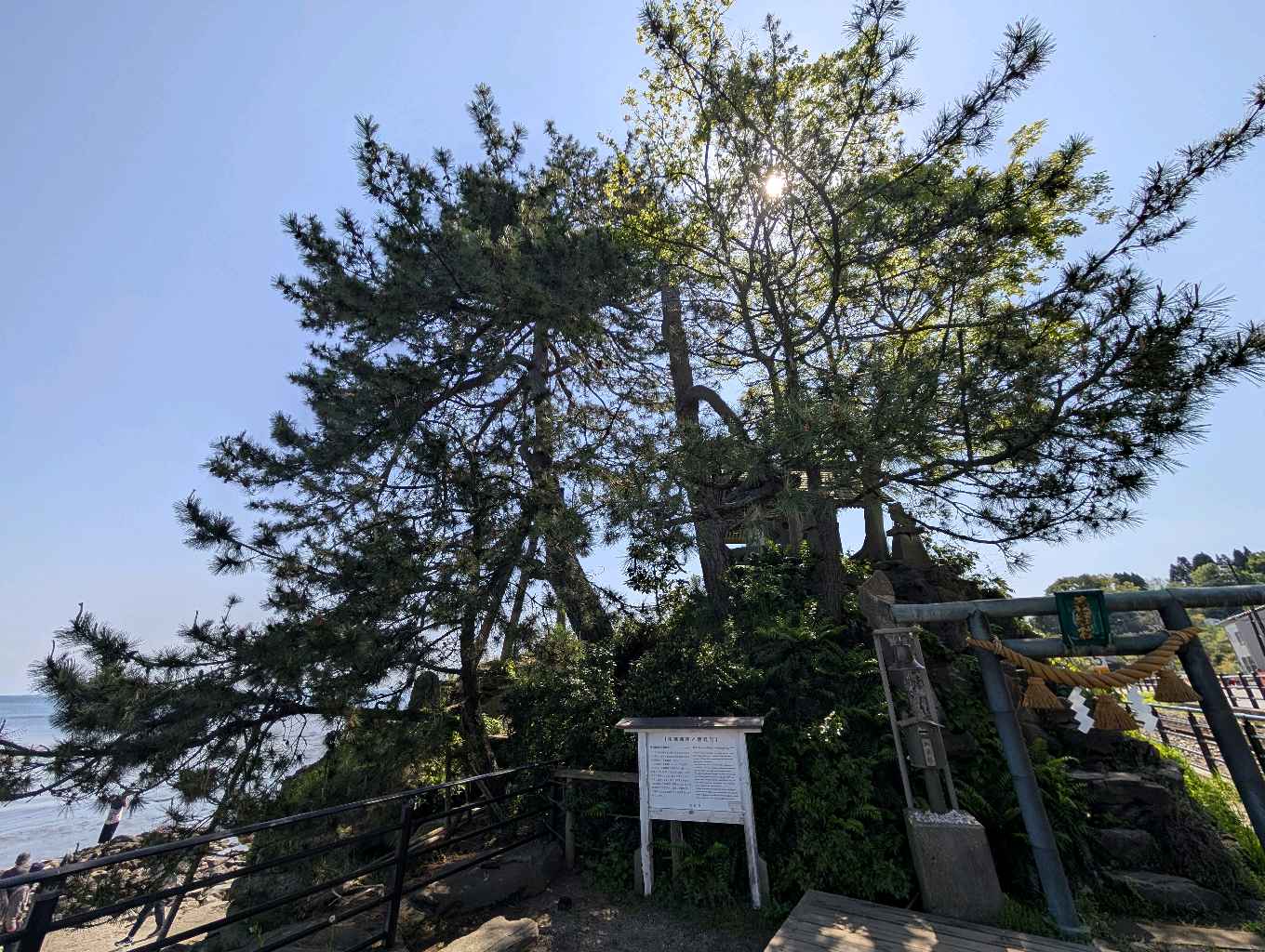 雨晴海岸 - 富山湾越しに見える立山連峰！
この日は立山連峰は少し霞んでいたけど、それでもとっても素敵な眺めだった✨

めちゃくちゃ寒そうだけど、空気の澄んだ冬にまたリベンジしたい！

周囲にあまり駐… - photo 6