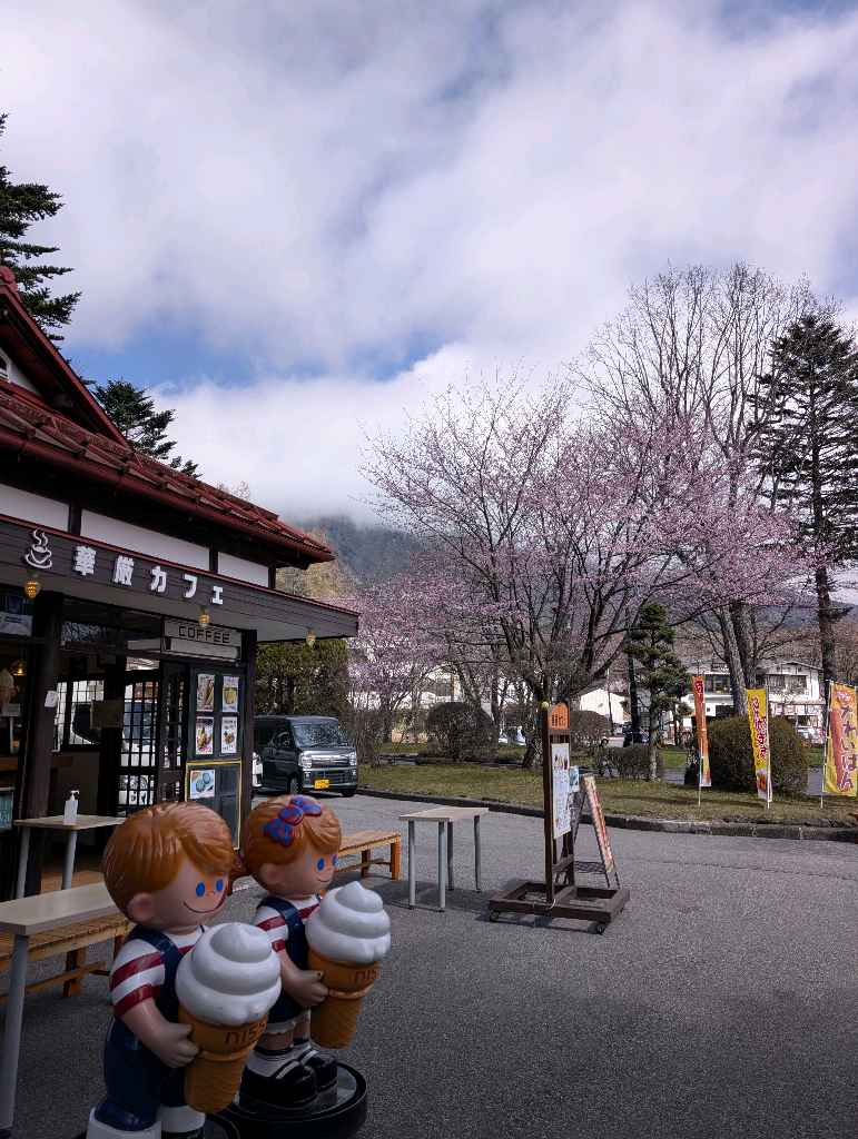 華厳滝 - 無料エリアだと上から鑑賞、有料エリアへは専用エレベーターに乗って100メートル下から滝を鑑賞出来る✨

今年は水不足で水量が少なくてちょっと残念。
水量少ないときは無料エリアだけで十分だな… - photo 1