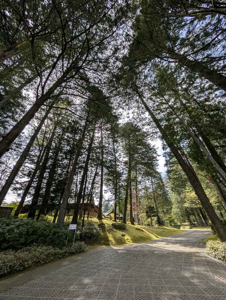 日光田母沢御用邸記念公園 - 東照宮近くにある大正天皇のご静養地田母沢御用邸。元々は日光出身の銀行家小林年保の別邸に旧紀州徳川家江戸中屋敷の1部を移築し、その他は新築された建物

普段は非公開の御展望… - photo 1