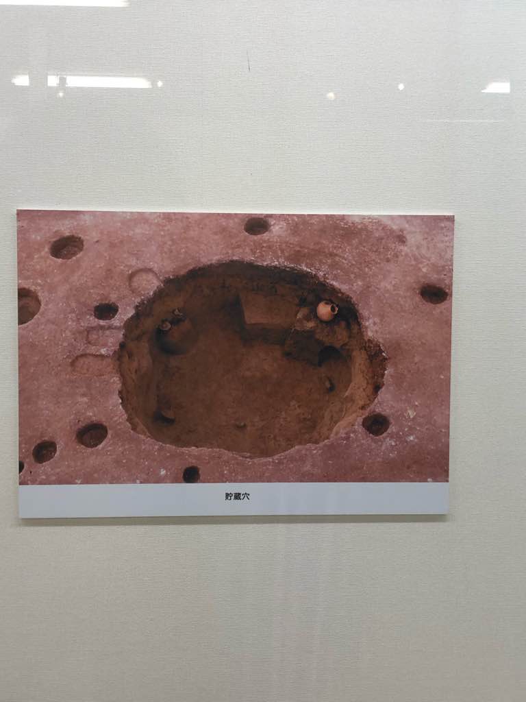 遺物から見えるもの - 昔から吉野ヶ里では、畑に土器や石器がゴロゴロ散乱していたそう。
中には人骨が残っていた甕棺もあったとか　😱

弥生時代中期
青銅器の製作技術が伝来します。
最も古い時期の青銅… - photo 2