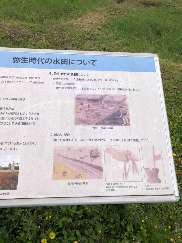 北墳丘墓 - 銅剣がたくさん出土した北墳丘墓
当然、高い位にいた方々のお墓が集まったところです。

一つ一つとても勉強になりました。
墳丘墓と北内郭の主祭殿を結ぶ軸などなど興味は尽きません。　

まだ… - photo 7