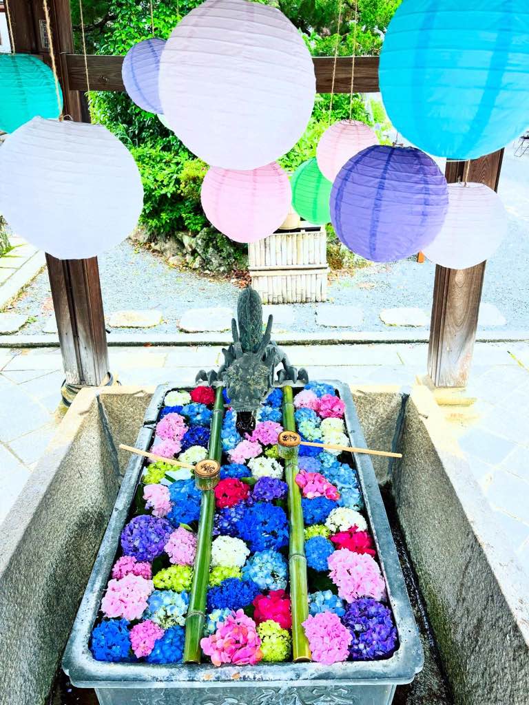 柳谷観音・楊谷寺 - あじさいウィーク
おすすめのスポットです - photo 2