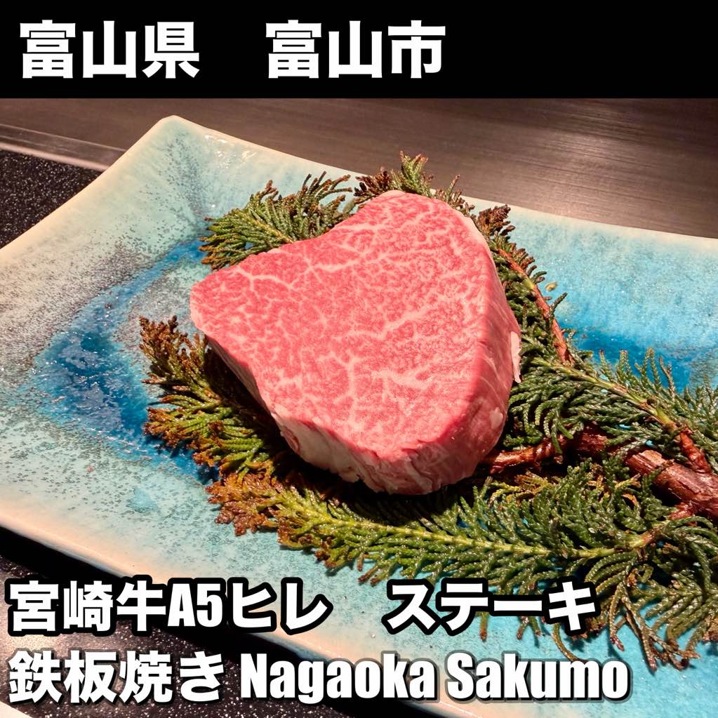 鉄板焼き Nagaoka Sakumo - - photo 1