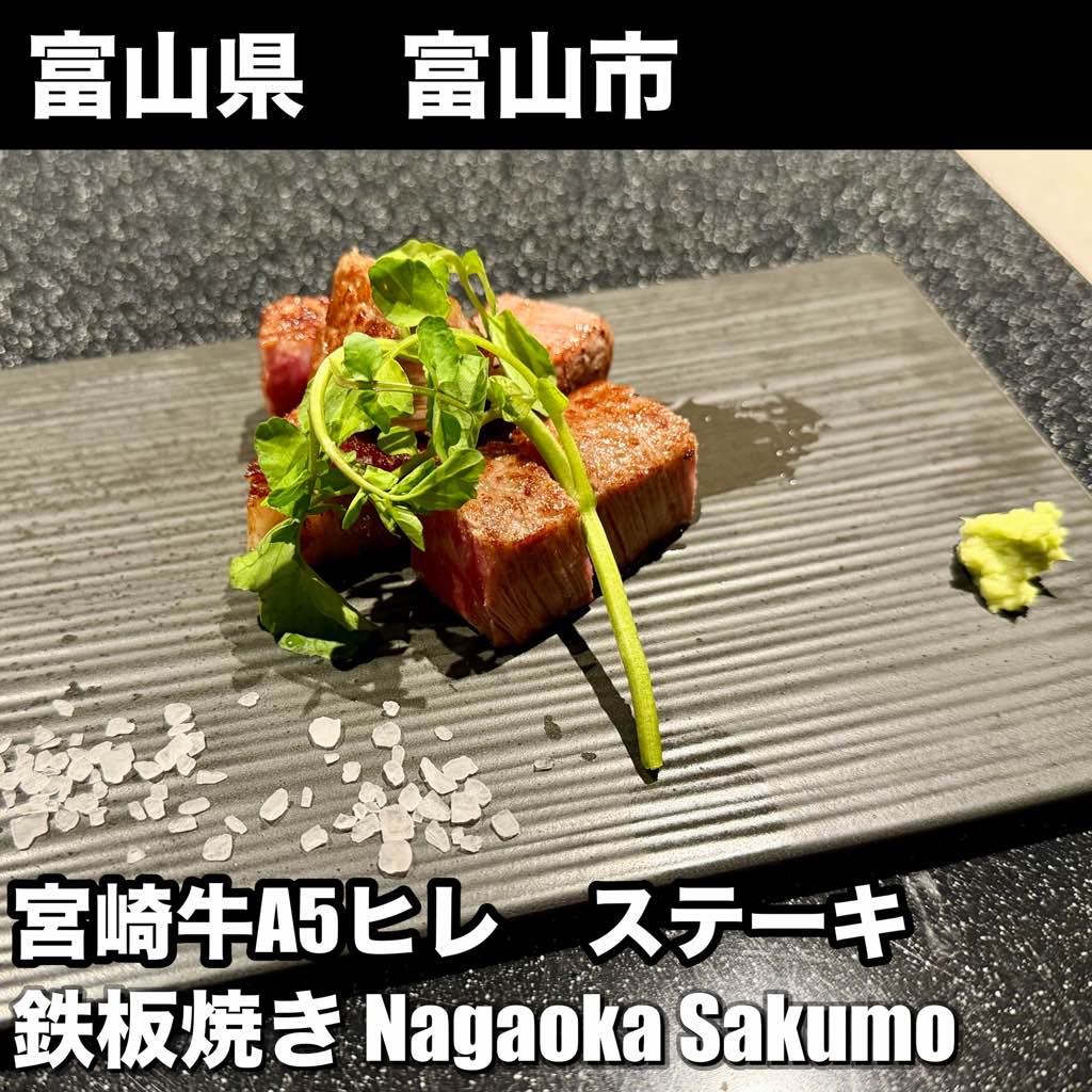 鉄板焼き Nagaoka Sakumo - - photo 2