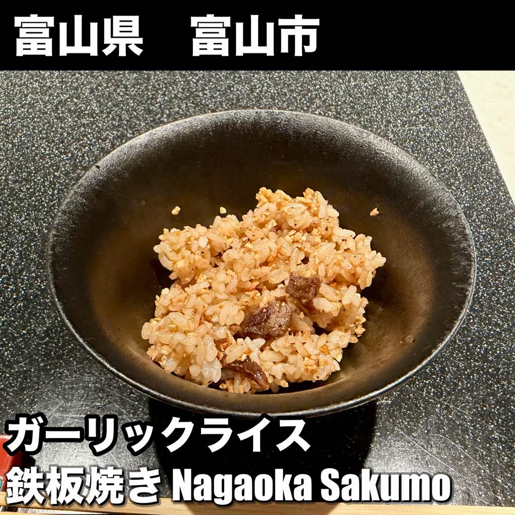 鉄板焼き Nagaoka Sakumo - - photo 3