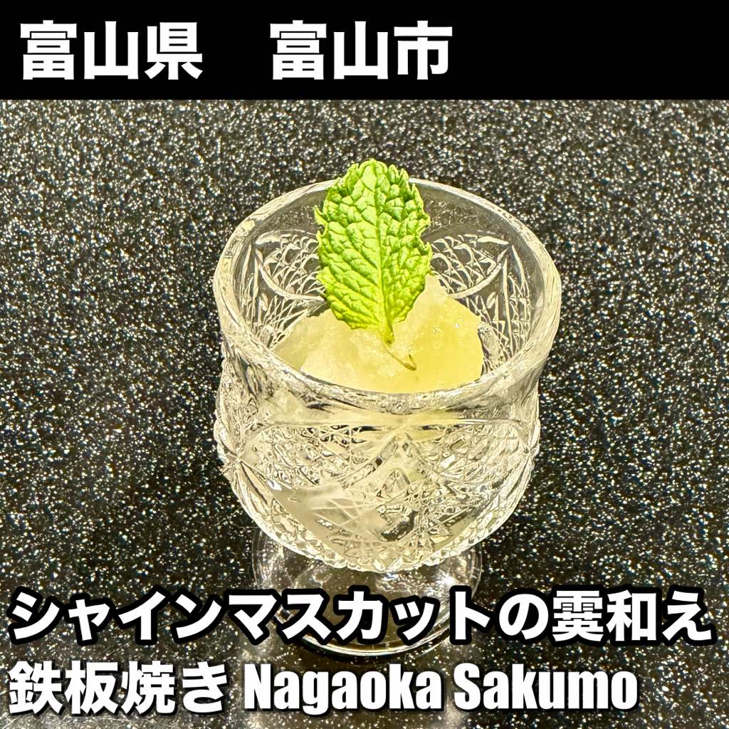 鉄板焼き Nagaoka Sakumo - - photo 8