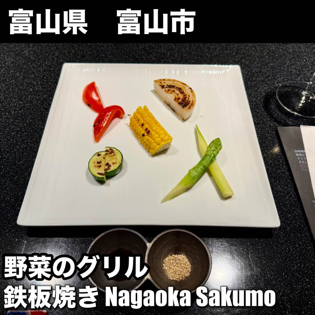 鉄板焼き Nagaoka Sakumo - - photo 9