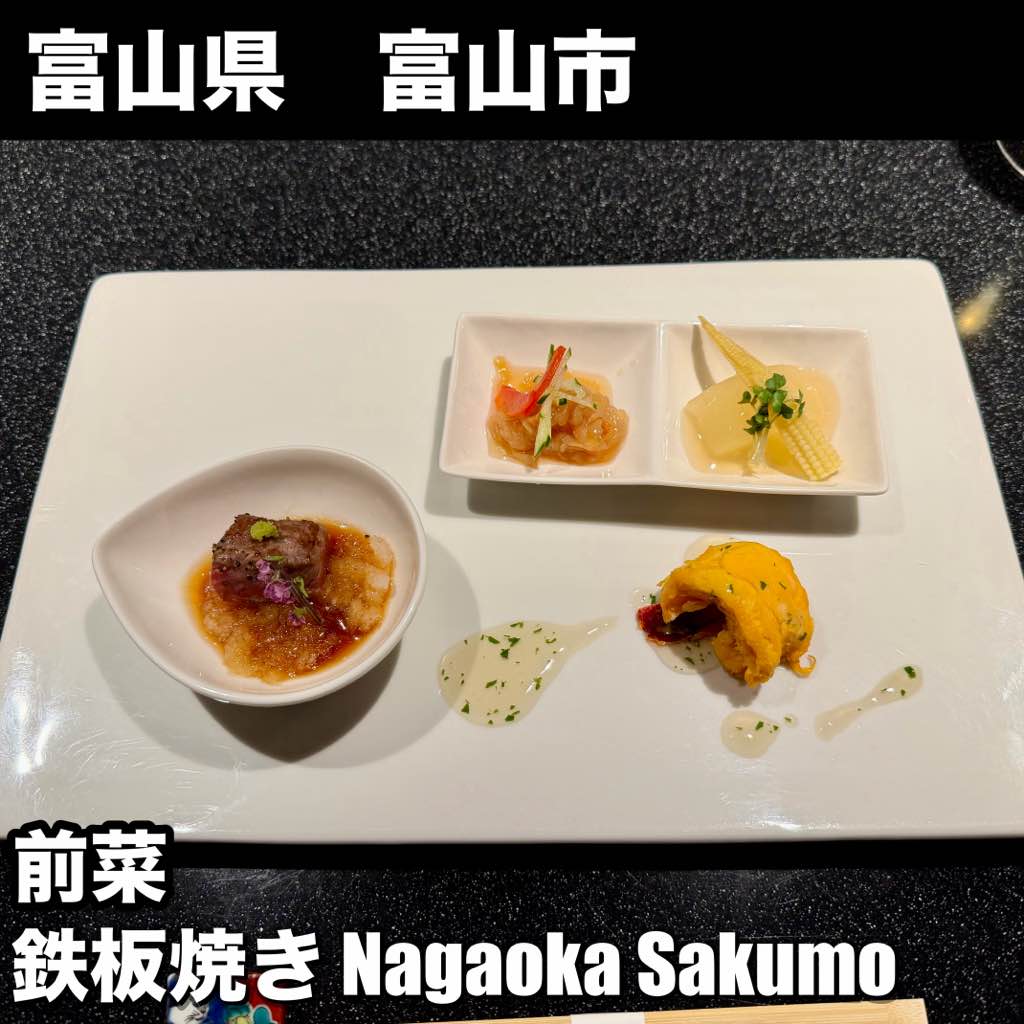 鉄板焼き Nagaoka Sakumo - - photo 10