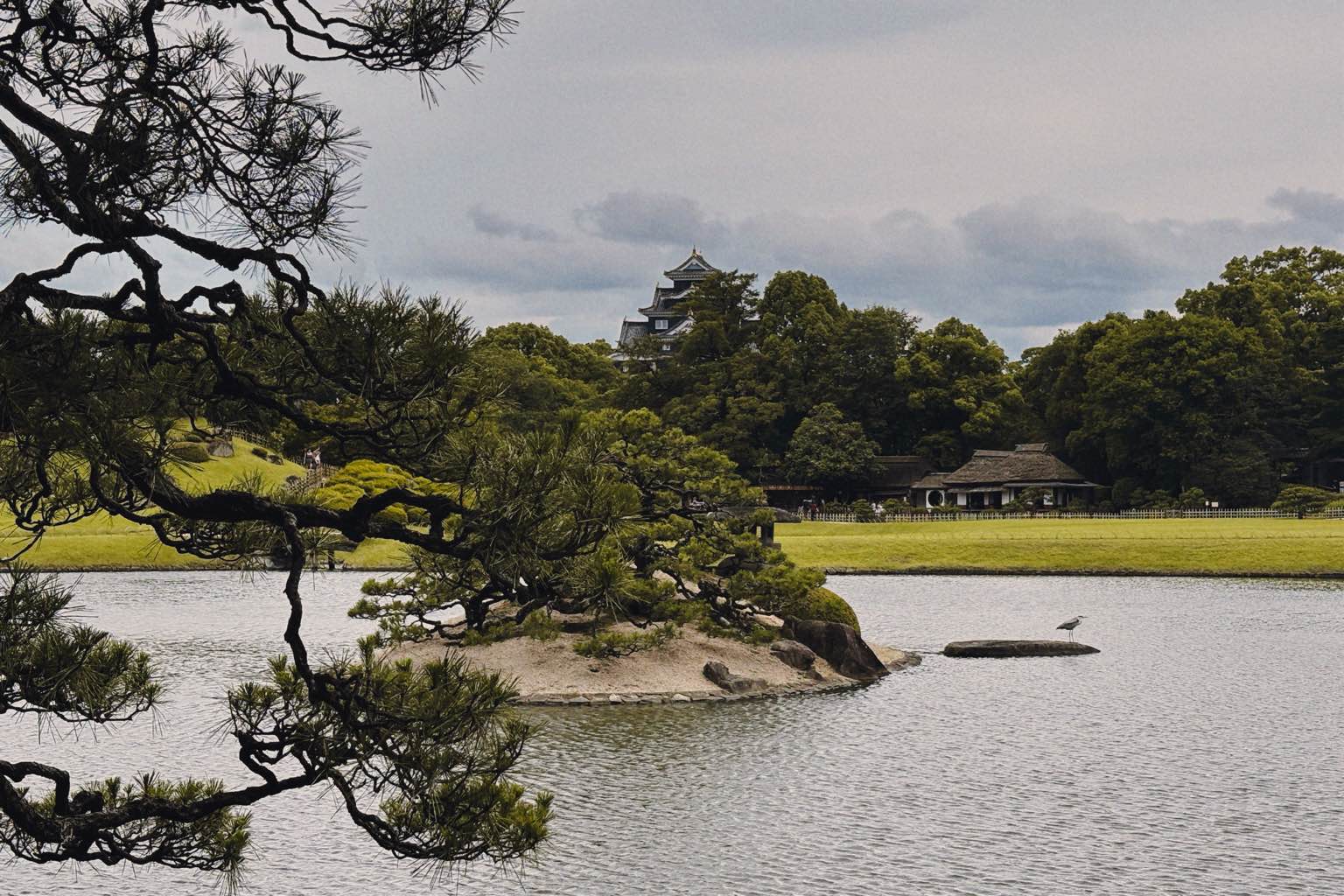 岡山後楽園 - #岡山後楽園 #庭園
素敵でした
若干曇っていたので 太陽にジリジリと焼かれずに済みましたが、天気がよく空も広ければもっと良さが分かったのだろうなと思いました。
丁度タンチョウの赤ちゃ… - photo 1