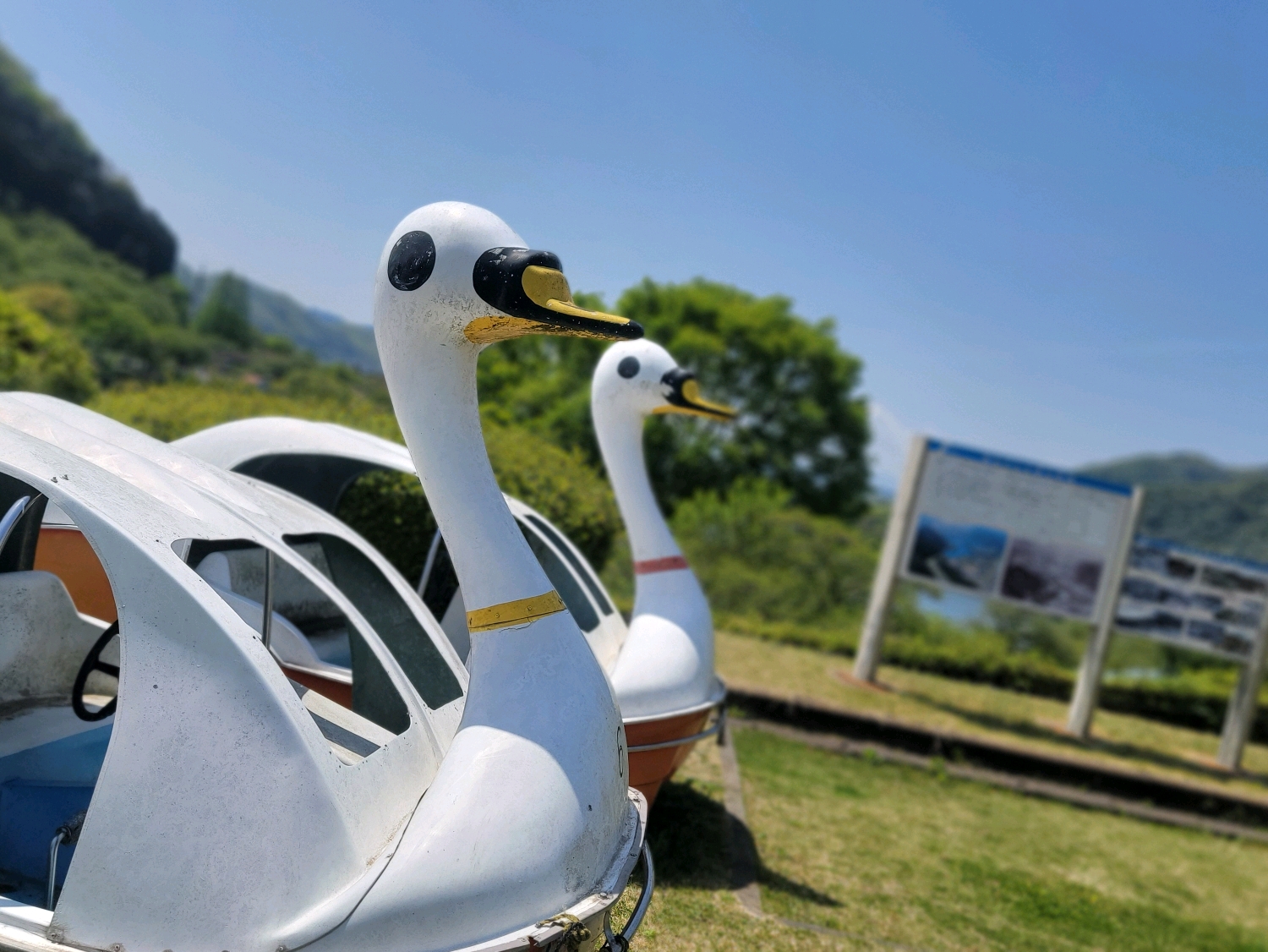 津久井湖記念館／相模原市緑区 - 津久井湖や城山ダムに関する様々な資料が展示してあります

城山ダムのダムカードが新しくなったようなので、また貰いに行ってきます


◾︎津久井湖記念館
〒252-01… - photo 10