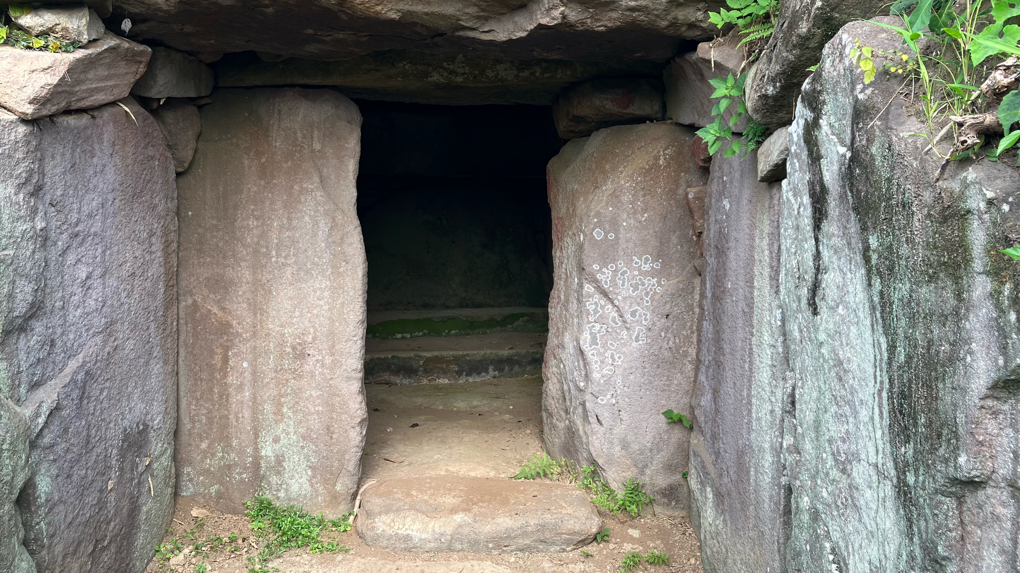 千代丸古墳 - 大分川の支流賀来川下流域の左岸に形成された河岸段丘の上に造成。
墳丘は、封土の大半が流出。現状では、直径約1 m 、高さ 4. 5mあり、復元すると直径は 15m 以上の円墳になると思… - photo 4